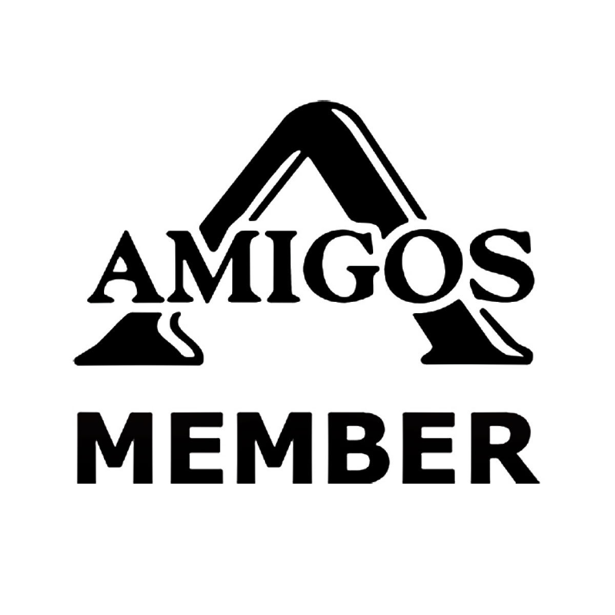 amigos-member-sai-america