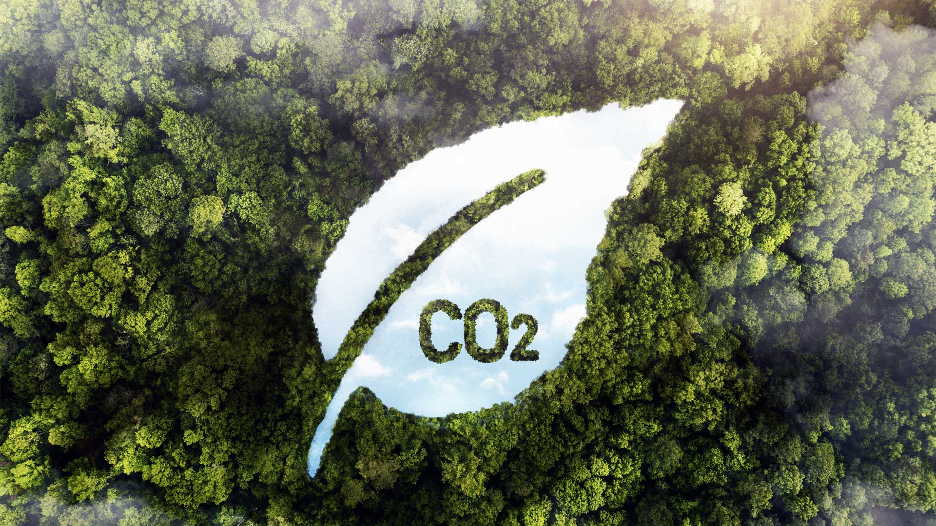 co2-biogas_sai