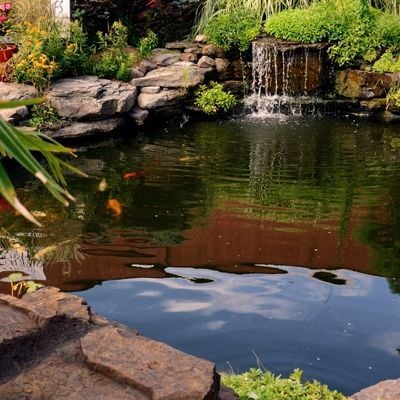 fish pond liner