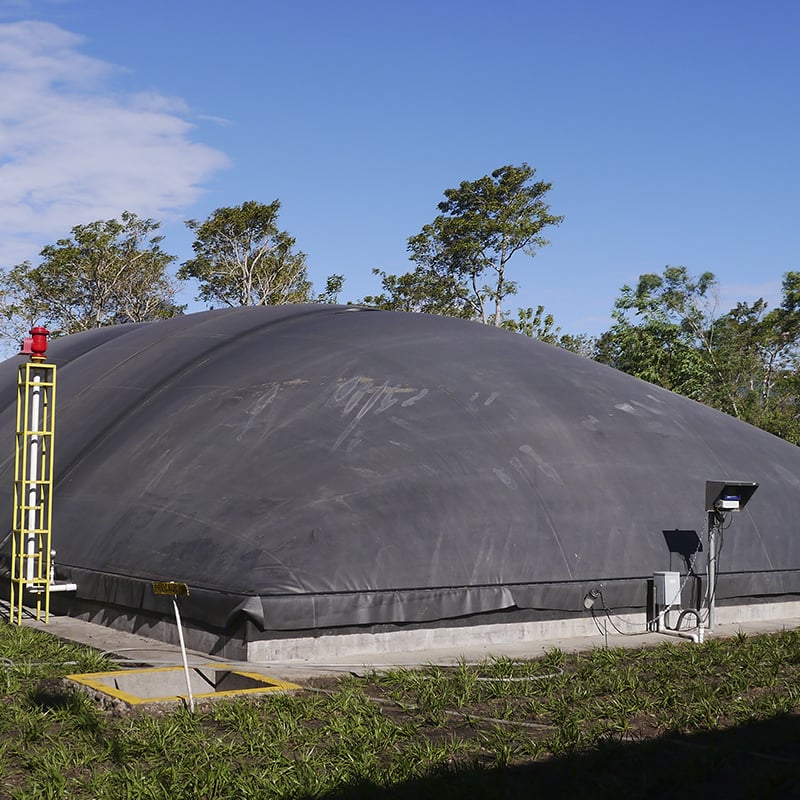 biodigestores